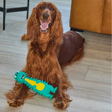 Load image into Gallery viewer, Outward Hound Big Squeak Dino MD