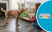 Load image into Gallery viewer, Outward Hound Bottle Bros Alligator MD