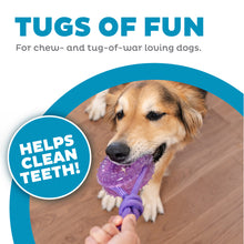 Load image into Gallery viewer, Outward Hound Dental Chew Wheel