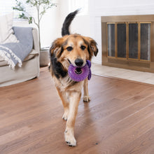 Load image into Gallery viewer, Outward Hound Dental Chew Wheel