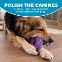 Load image into Gallery viewer, Outward Hound Dental Chew Wheel