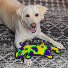 Load image into Gallery viewer, Outward Hound Durablez Gecko Green LG