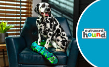 Load image into Gallery viewer, Outward Hound Durablez Snake Blue XL