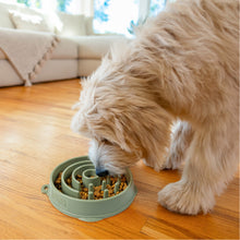 Load image into Gallery viewer, Outward Hound Fun Feeder Circle Sage