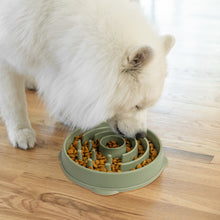 Load image into Gallery viewer, Outward Hound Fun Feeder Circle Sage