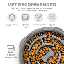 Load image into Gallery viewer, Outward Hound Fun Feeder Maze Grey