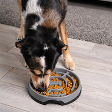 Load image into Gallery viewer, Outward Hound Fun Feeder Maze Grey