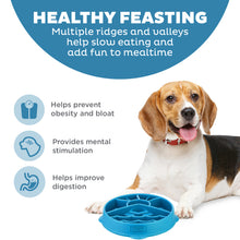 Load image into Gallery viewer, Dog with a blue slow feeder bowl, promoting healthy eating habits.