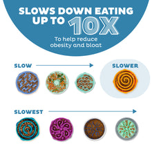 Load image into Gallery viewer, Diagram showing different shapes of slow feeder bowls with text indicating they slow down eating up to 10 times.
