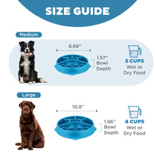 Load image into Gallery viewer, Size guide for a blue dog bowl with measurements and capacity details.