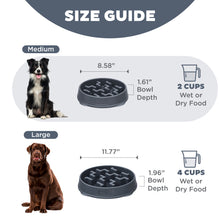 Load image into Gallery viewer, Outward Hound Fun Feeder Notch Carbon Slo Bowl