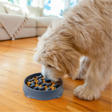 Load image into Gallery viewer, Outward Hound Fun Feeder Notch Carbon Slo Bowl