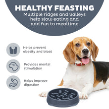 Load image into Gallery viewer, Outward Hound Fun Feeder Notch Carbon Slo Bowl