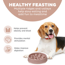 Load image into Gallery viewer, Outward Hound Fun Feeder Notch DRS Slo Bowl