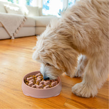 Load image into Gallery viewer, Outward Hound Fun Feeder Notch DRS Slo Bowl