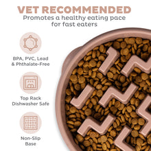 Load image into Gallery viewer, Outward Hound Fun Feeder Notch DRS Slo Bowl