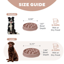 Load image into Gallery viewer, Outward Hound Fun Feeder Notch DRS Slo Bowl