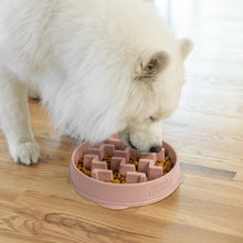 Load image into Gallery viewer, Outward Hound Fun Feeder Notch DRS Slo Bowl