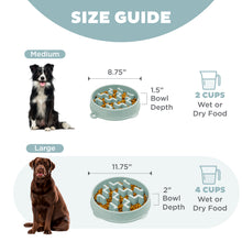 Load image into Gallery viewer, Outward Hound Fun Feeder Notch Sage Slo Bowl