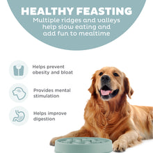 Load image into Gallery viewer, Outward Hound Fun Feeder Notch Sage Slo Bowl
