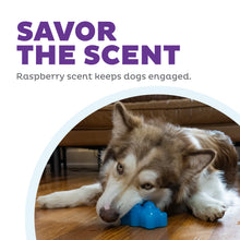 Load image into Gallery viewer, Outward Hound Gummiez Bear Blue