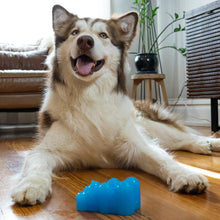 Load image into Gallery viewer, Outward Hound Gummiez Bear Blue