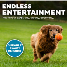 Load image into Gallery viewer, Outward Hound Squeaker Ballz LG 4pk