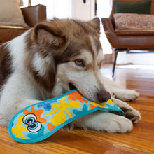 Load image into Gallery viewer, Outward Hound Tough Skinz Snake Blue