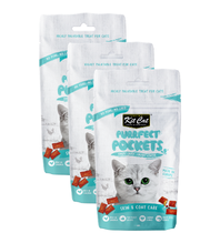 Load image into Gallery viewer, 3x Kit Cat Purrfect Pockets - Skin &amp; Coat Care 60g