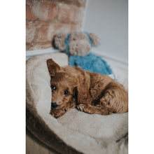 Load image into Gallery viewer, Rosewood My Dog Calming Monkey