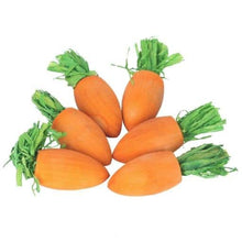 Load image into Gallery viewer, Rosewood Woodies Play Carrots 6pc