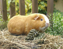 Load image into Gallery viewer, RWSM96_Rosewood Veggie Burst Nibble Leaves