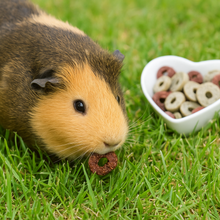 Load image into Gallery viewer, RWSM98_Rosewood Pea 'n Beetroot Nibble  Rings 120g