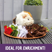 Load image into Gallery viewer, Pudding Snuffle &amp; Forage Mat