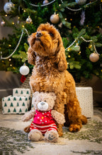 Load image into Gallery viewer, Buddy Bear