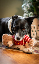 Load image into Gallery viewer, Buddy Bear