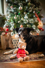 Load image into Gallery viewer, Buddy Bear
