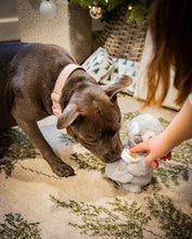 Load image into Gallery viewer, Prancer Penguin