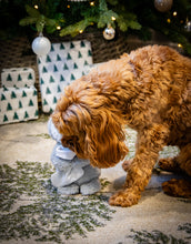 Load image into Gallery viewer, Prancer Penguin