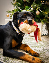 Load image into Gallery viewer, Max Monkey