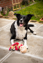 Load image into Gallery viewer, Max Monkey