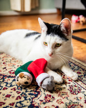 Load image into Gallery viewer, Martha &amp; Mayor Mice Duo