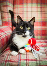 Load image into Gallery viewer, Festive Ball Gift Box (8Pcs)