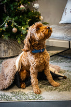 Load image into Gallery viewer, Hedgehog Snuffle &amp; Burrow Blanket