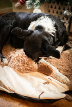 Load image into Gallery viewer, Hedgehog Snuffle &amp; Burrow Blanket