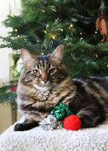 Load image into Gallery viewer, Christmas Cat Toy Stocking