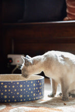 Load image into Gallery viewer, Festive Cardboard Scratcher