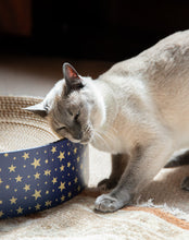 Load image into Gallery viewer, Festive Cardboard Scratcher