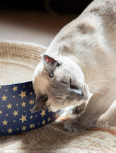 Load image into Gallery viewer, Festive Cardboard Scratcher