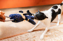Load image into Gallery viewer, Nermal Nutcracker